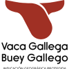VACA GALLEGA